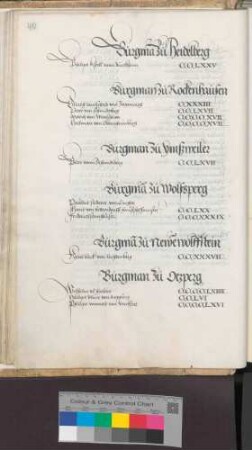 Burgmannen zu Heidelberg