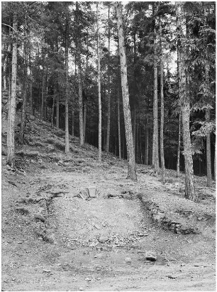 Westerzgebirge : Westerzgebirge. Kuttengrund nordöstliche Aue. Tiefer Reichenbach Hoffnungs Stolln. Stollenmundlich verschüttet