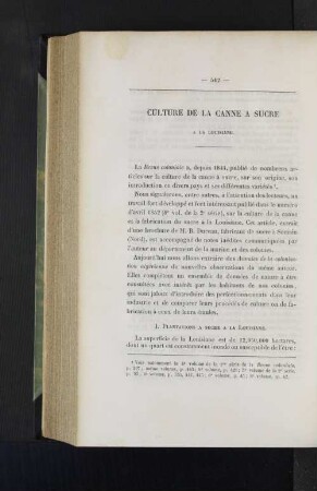 Culture de la canne a sucre.