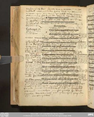 Satyra prima.