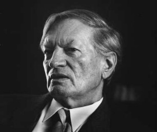J. A. Schmoll gen. Eisenwerth : Porträt Josef Adolf Schmoll genannt Eisenwerth