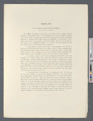Tafel 67b. Wollborten baumwollener Gewänder.