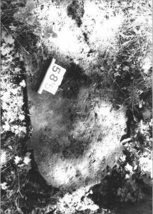Grabstein 585