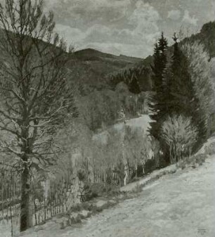 Vorfrühling