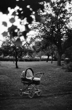 Kinderwagen im Garten, Echzell