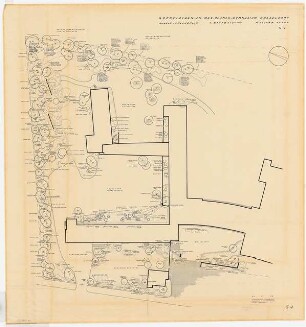 Grünflächen am Max-Planck-Gymnasium, Düsseldorf: Pflanzplan Gehölze, 1. Bauabschnitt 1:200