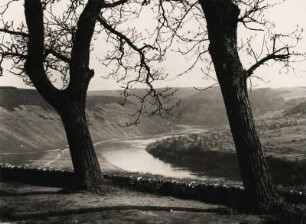 Deutschland. Rheinland. Vorfrühling. Blick in das Moseltal bei Marienburg