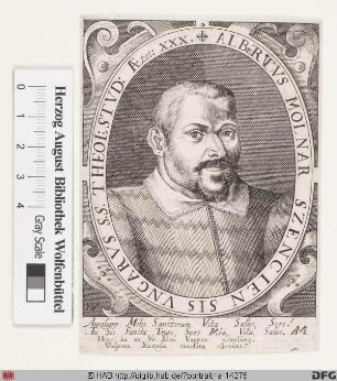 Bildnis Albert Molnár