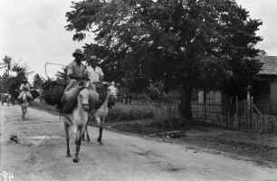 Reiter : Reiter auf einer Straße.