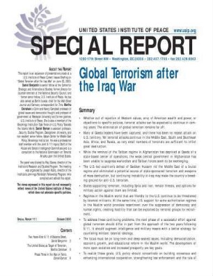 Global terrorism after the Iraq war