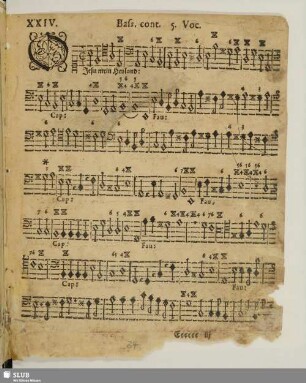 XXIV. O Jesu mein Heiland
