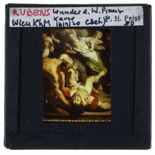 Rubens, Wunder des Hl. Franz Xaver (Wien KhM GG_519) : 1617/18