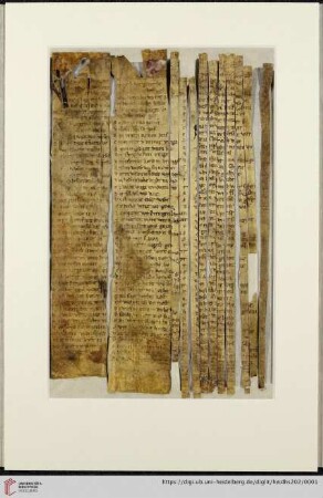 Willehalm (Fragm. 23)