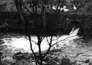 Triebischtal-Roitzschen. Die Triebisch bei der Neidmühle