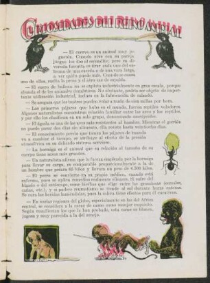 Curiosidades del reino animal