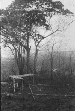 Am Tendaguru-Gipfel : Blick in eine Landschaft