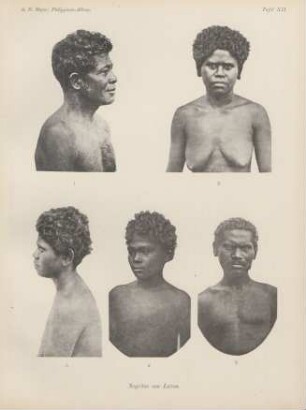 Tafel XII. Negritos von Luzon