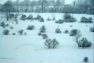 verschneiter Berghang mit Büschen und früheren Ackerterrassen