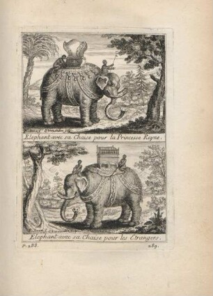 Elephant avec sa chaise pour la Princesse Reyne. Elephant avec sa chaise pour les etrangers