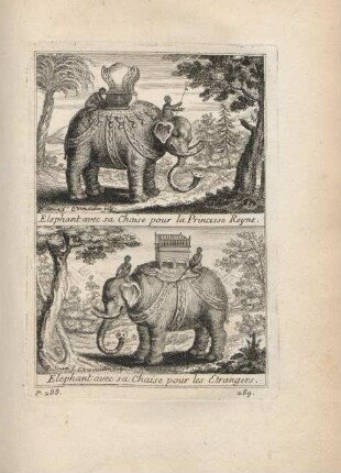 Elephant avec sa chaise pour la Princesse Reyne. Elephant avec sa chaise pour les etrangers