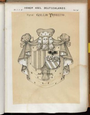 Taf. 96. Fürst Gallio Trivultio