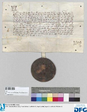 Karl IV., römischer König, erteilt Cvnrad dem Jungen Waltstromeir einen Versicherungsbrief dahin, dass, falls jemand von ihm, dem König, das Forstamt über den Wald bei Nürnberg nach dem Auflauf zu Nürnberg zu Lehen empfangen habe, diese Verleihung nicht zu Recht bestehen solle. - Siegler: der Aussteller.