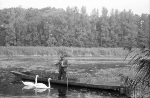 Wörth: Angler im Boot und zwei Schwäne