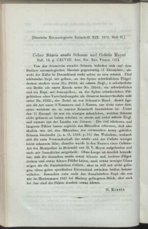 Ueber Sitaris analis Schaum und Colletis Mayet