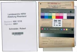 Entnazifizierung Robert Schneider , geb. 19.07.1903 (Arzt)
