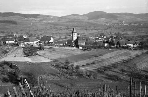 Burkheim: Blick vom Burgberg auf Weinberg und Burkheim