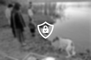 Herrenteich: Kinder und Erwachsene beim Spielen mit einem ferngesteuerten Modellboot: vorne rechts Windhund: im Hintergrund Schilf