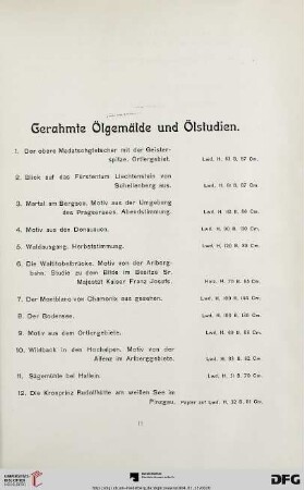 Gerahmte Ölgemälde und Ölstudien (Nr. 1-100)