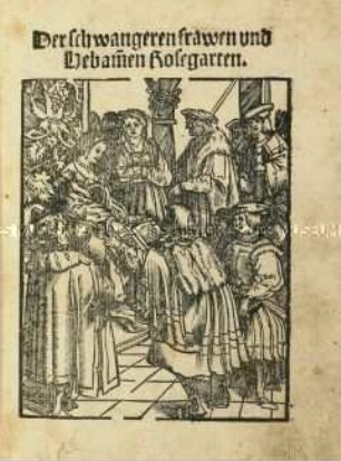 Handbuch für Schwangere und Hebammen