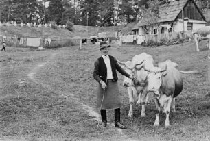 Portrait eines Bauern mit Rindern