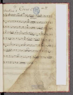 Corno II