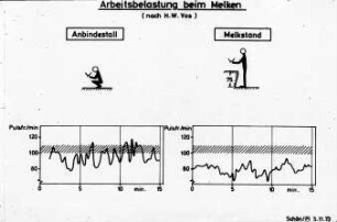 Arbeitsbelastung beim Melken