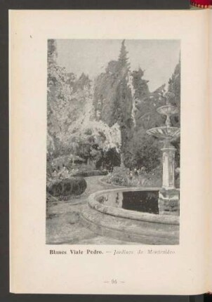 Blanes Viale Pedro. - Jardines de Montevideo