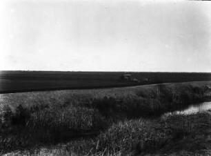 Eingedeichtes Land am Sacramento : Blick über eine Deichlandschaft mit Gewässer