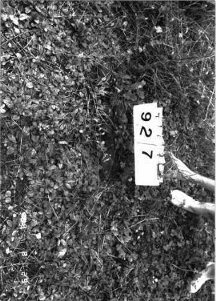 Grabstein 927 (Index: 100099202) Zustand: Fragment: Grabstein 927