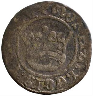 Münze, Kwartnik, 1501/1506