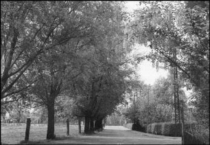 Havelse, Lönsweg (jetzt: Görlitzer Straße)