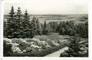 Kamenz. Azaleen - Anlagen auf dem Hutberg