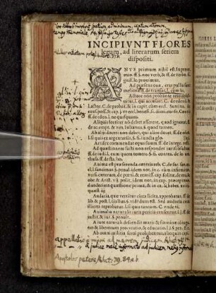 Incipit flores legum, ad literarum seriem dispositi