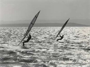 Surfer auf dem Neusiedler See