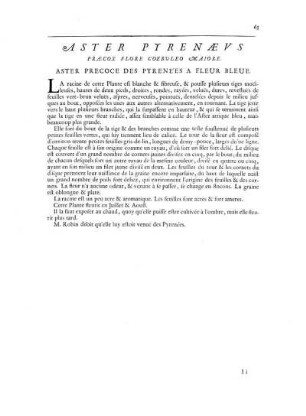 Aster Pyrenaeus Praecox Flore Coeruleo Maiore