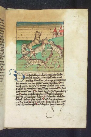 Die Katzen reißen den Wolf; (Kapitel XVI: Von den Vögeln).