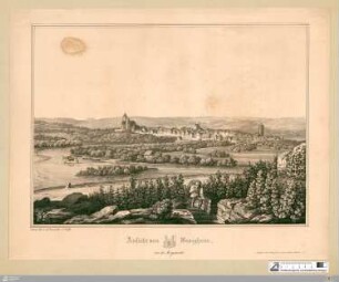 Ansicht von Besigheim : von der Morgenseite