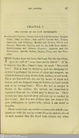 Chapter V. The oyster in its new settlement