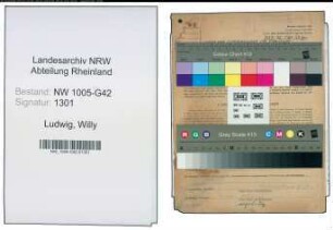 Entnazifizierung Willy Ludwig , geb. 09.09.1890 (Sattler)
