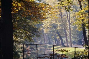 Allee, Detmold; farbig